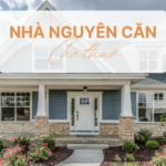 nha-nguyen-can-cho-thue-template